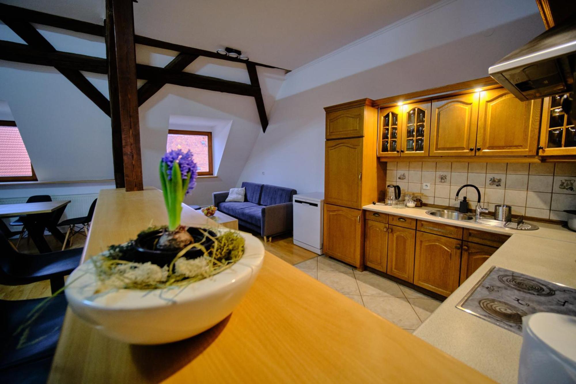 Urania Apartamenty Kowary Room photo